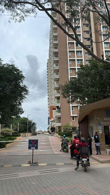 2 BHK Flat In Brigade Buena Vista For Sale  In Bommenahalli