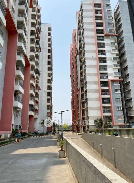 3 BHK Flat In Emami Swanlake Apartments for Rent  In Kukatpally