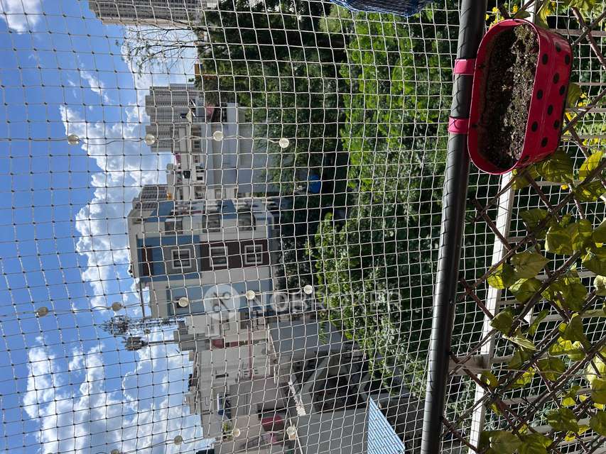 3 BHK Flat In Sumukha Maple Grove For Sale  In Akshayanagar, Bengaluru