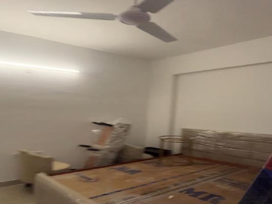 2 BHK Flat In Oasis Grand Stand for Rent  In Oasis Grandstand