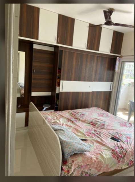 2 BHK Flat In Elv Marvel , Whitefield for Rent  In Whitefield