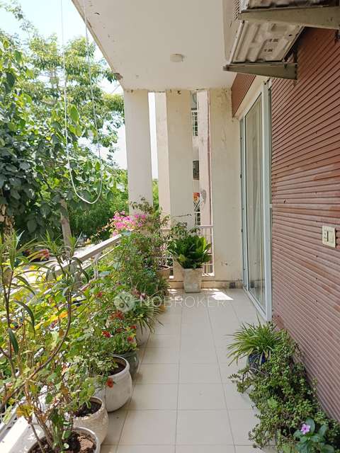 3 BHK Flat In Orchid Island For Sale  In Sector 51