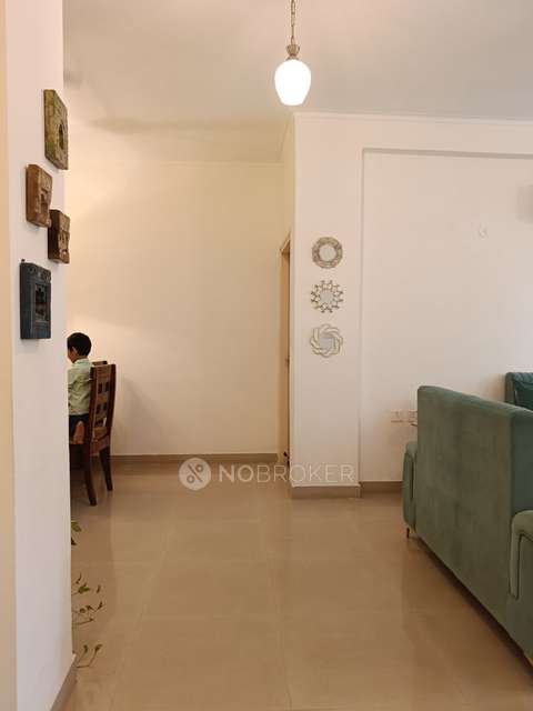 3 BHK Flat In Orchid Island For Sale  In Sector 51
