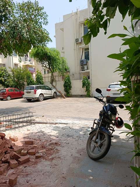 3 BHK Flat In Orchid Island For Sale  In Sector 51