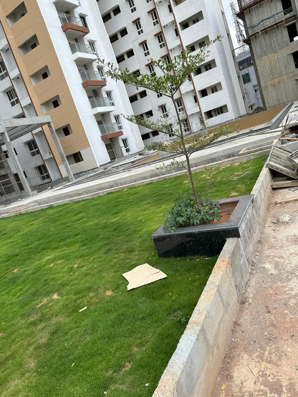 Arsis Developers Pvt Ltd