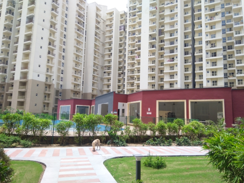 paramount emotions Paramount Emotions, noida Apartments/Flats NoBroker
