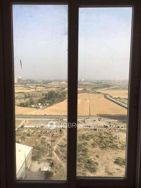 3 BHK Flat In Ace Golfshire For Sale  In Sector 150