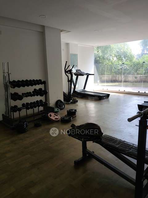 1 BHK Flat In Sky Heights Pisoli for Rent  In Pisoli