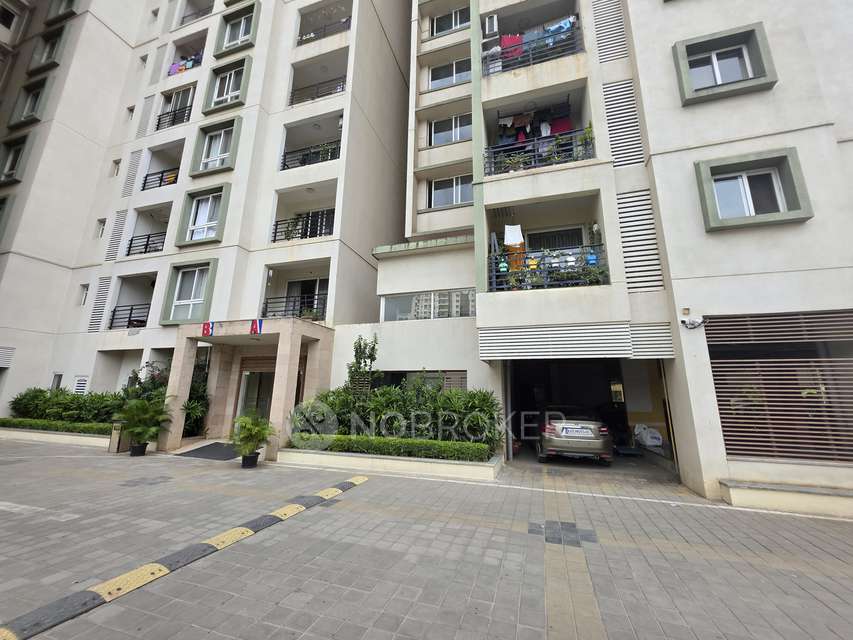 3 BHK Flat In Salarpuria Sattva Senorita, Kasavanahalli For Sale  In Kasavanahalli