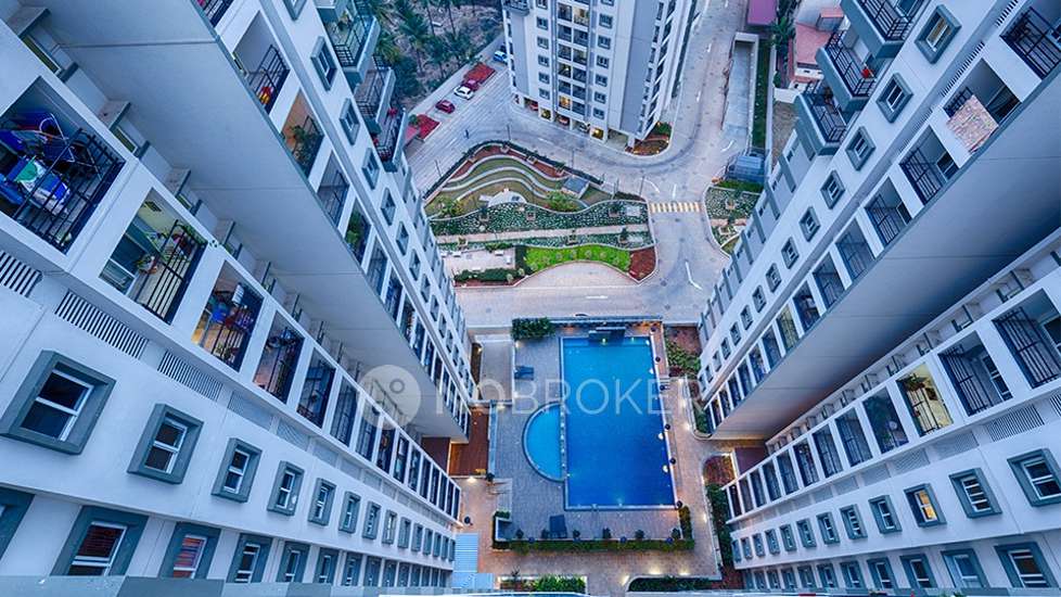 3 BHK Flat In Salarpuria Sattva Senorita, Kasavanahalli For Sale  In Kasavanahalli