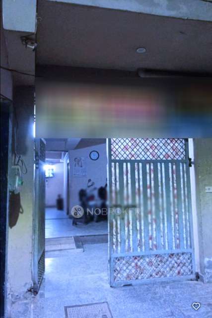 PG for Anyone in Sector 38