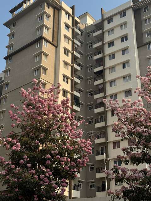 3 BHK Flat In Provident Equinox 3 for Rent  In Challaghatta Metro Station