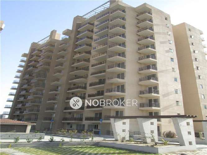 4 BHK Flat In Satya Platina for Rent  In Sector-103