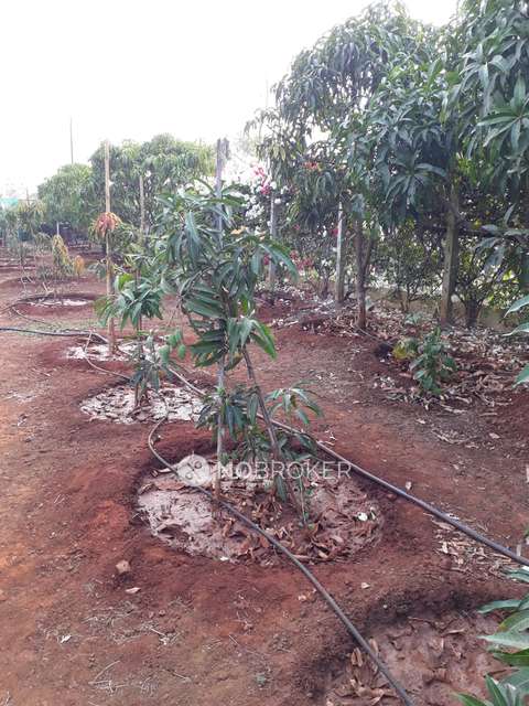 3 BHK House for Rent  In Bavdhan