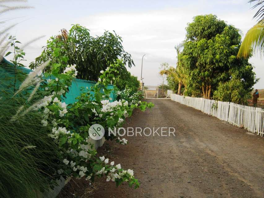 3 BHK House for Rent  In Bavdhan