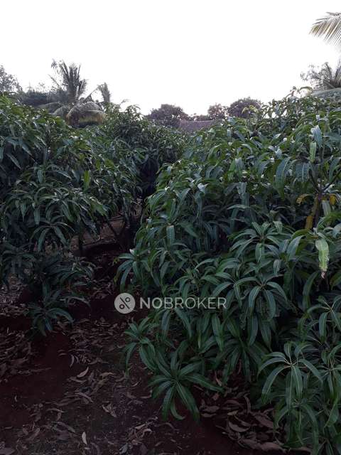 3 BHK House for Rent  In Bavdhan