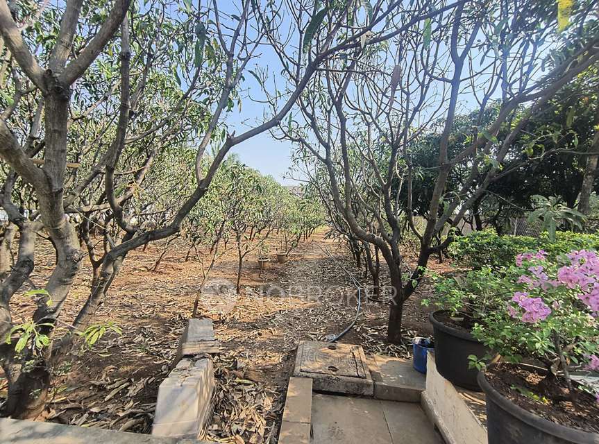 3 BHK House for Rent  In Bavdhan