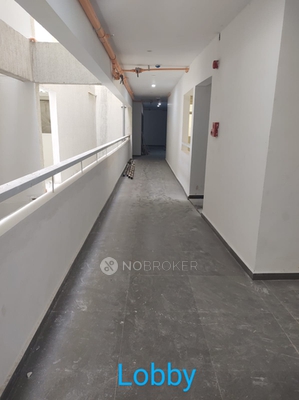 1 BHK Flat In Rohan Leher Iii for Rent  In Rohan Leher 3