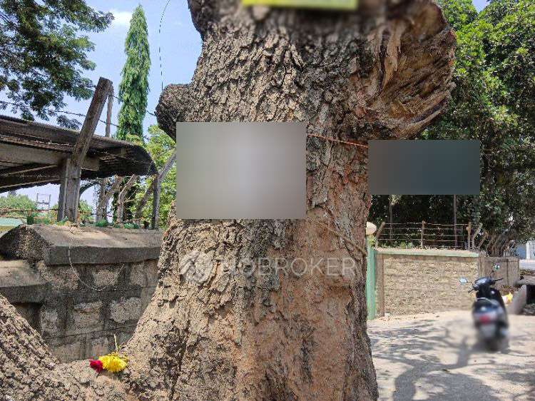 2 BHK House for Rent  In Thathaguni