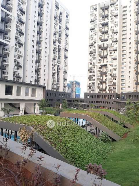 2 BHK Flat In Godrej Infinity for Rent  In Keshav Nagar