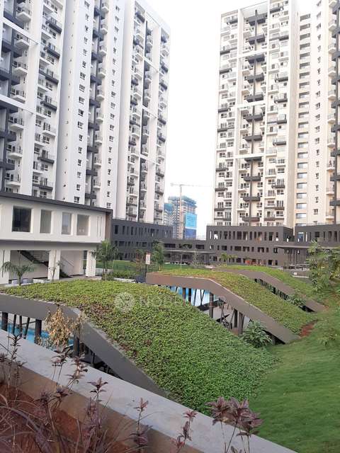 2 BHK Flat In Godrej Infinity for Rent  In Keshav Nagar