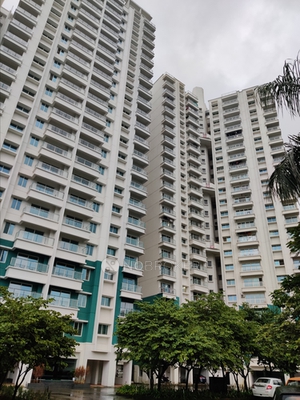 3 BHK Flat In Sangria Towers for Rent  In Hinjawadi