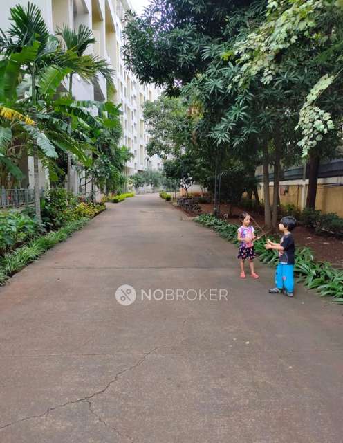 2 BHK Flat In Kalarch Sucasa Wakad for Rent  In Wakad