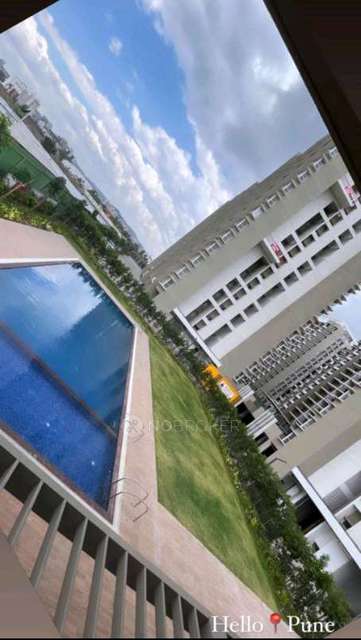 2 BHK Flat In Pride Purple Park Connect for Rent  In Hinjewadi Phase 1