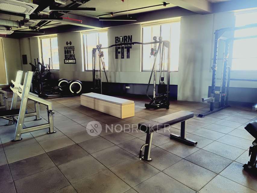 3 BHK Flat In Shapoorji Vanaha for Rent  In Bavdhan