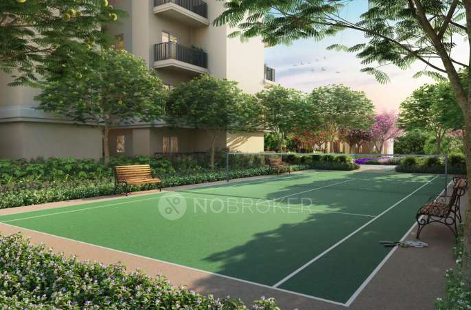4 BHK Flat In Ace Terra For Sale  In Sector 22d