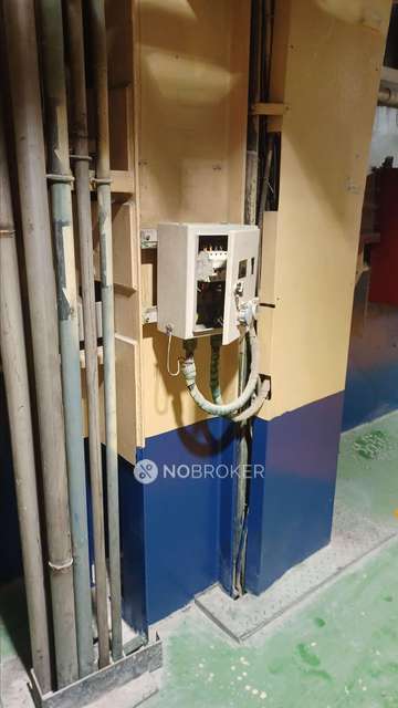 3 BHK Flat In Chd Avenue 71 For Sale  In Sector 71