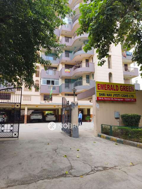 2 BHK Flat In Emerald Greens For Sale  In Sector 52a