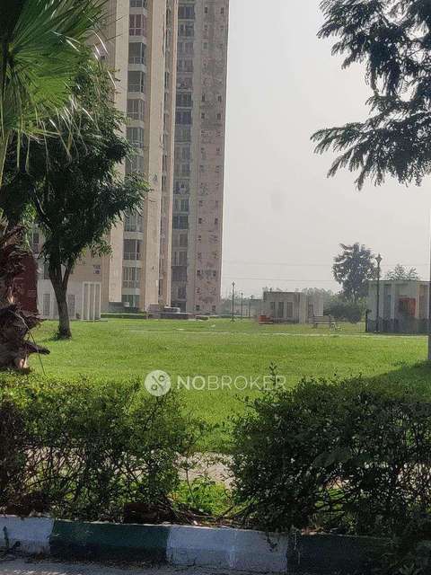 3 BHK Villa In Jaypee Aman For Sale  In Sector 151