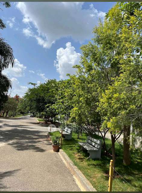 Plot For Sale  In Signature Tulips In Signature Tulips