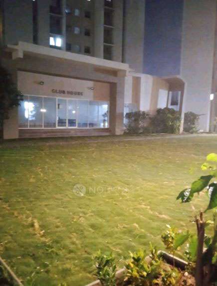 2 BHK Flat In Anshul Kanvas for Rent  In Wagholi