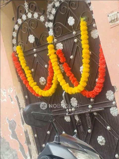 2 BHK House for Rent  In Ashok Vihar Phase Ii