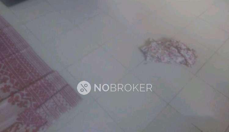 1 RK Flat In Dreamnivara for Rent  In Koregaon Mul