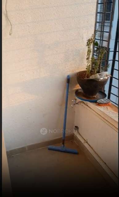 1 BHK Flat In Krishna Icon for Rent  In Dhayri