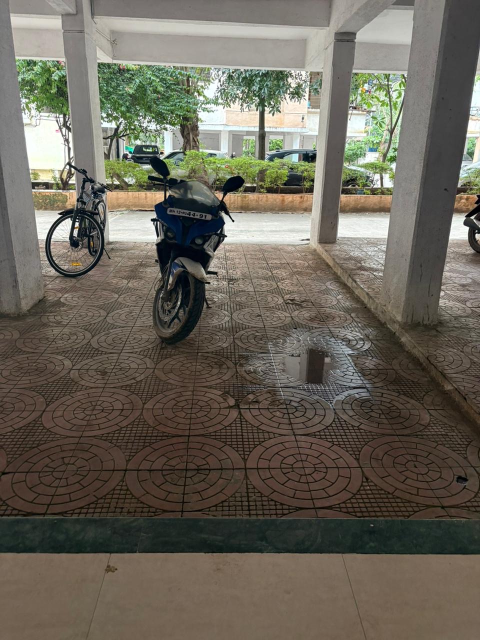 Choice Goodwill Orchids