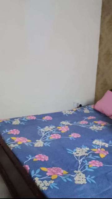 PG for Anyone in Sainik Farm