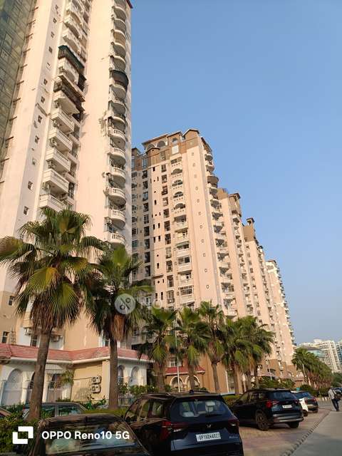 3 BHK Flat In Amrapali Sapphire For Sale  In Sector-45