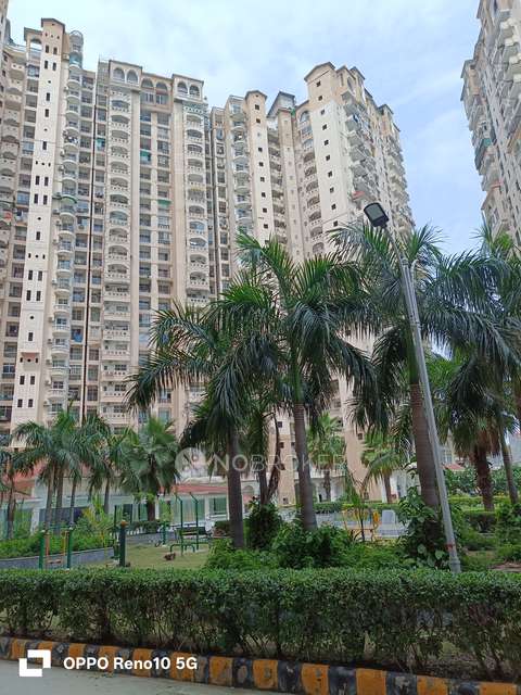 3 BHK Flat In Amrapali Sapphire For Sale  In Sector-45