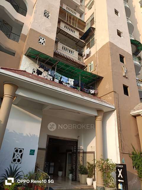 3 BHK Flat In Amrapali Sapphire For Sale  In Sector-45