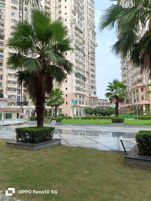 3 BHK Flat In Amrapali Sapphire For Sale  In Sector-45