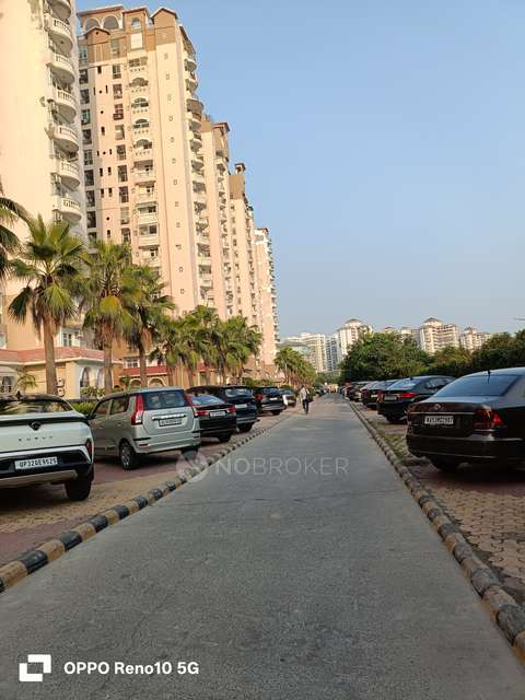 3 BHK Flat In Amrapali Sapphire For Sale  In Sector-45