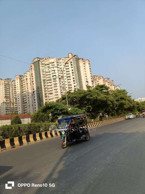 3 BHK Flat In Amrapali Sapphire For Sale  In Sector-45