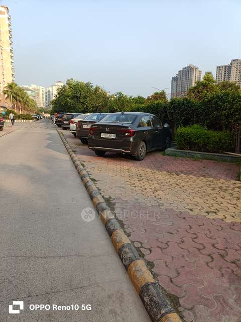 3 BHK Flat In Amrapali Sapphire For Sale  In Sector-45