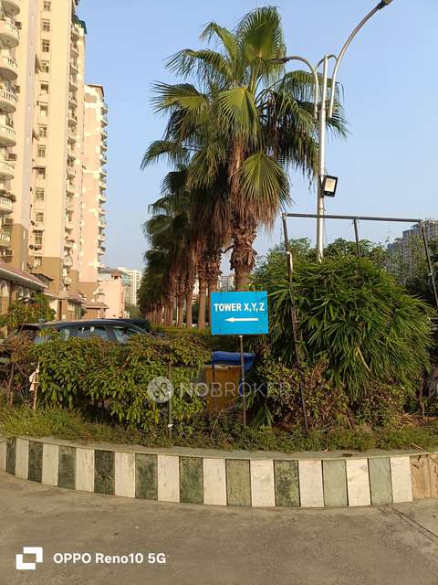 3 BHK Flat In Amrapali Sapphire For Sale  In Sector-45