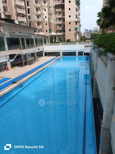 3 BHK Flat In Amrapali Sapphire For Sale  In Sector-45