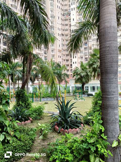 3 BHK Flat In Amrapali Sapphire For Sale  In Sector-45